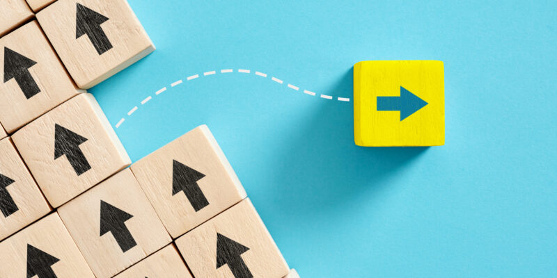 Leadership, individuality, difference and standing out from the crowd. Unique thinking and creativity. Do not go with the flow.